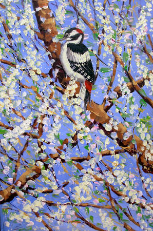 GREAT SPOTTED WOODPECKER