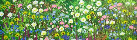 Study of meadow flowers