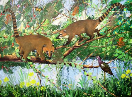 Coati in the Jungle. 