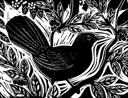 Blackbird in the Bush