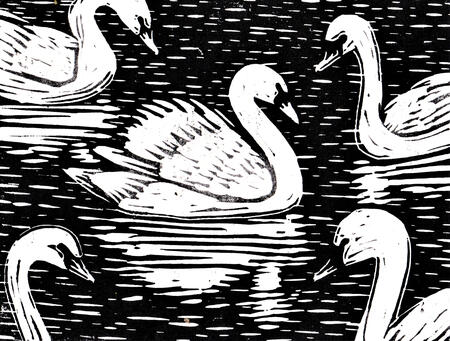 Swans