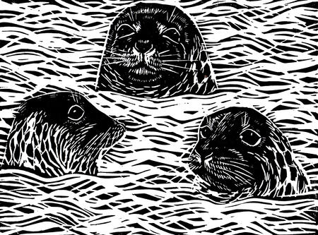 Bobbing Seals