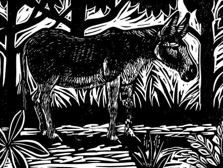 Donkey