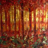 untitled-o4s08HgF9rs