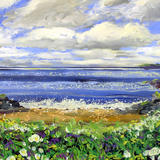 COASTAL PATH 1-Pembrokeshire