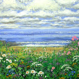 COASTAL PATH 4- Pembrokeshire