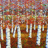 BIRCHES IN AUTUMN