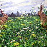 HARES IN THE MEADOW