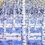 12. BIRCHES IN WINTER