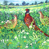 19. Pheasants in the meadow