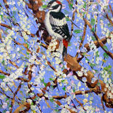 20. Great spotted woodpecker