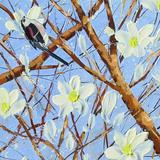 Longtailed tits in magnolia blossom