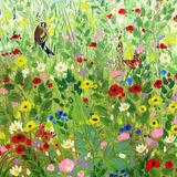 Goldfinches in the meadow