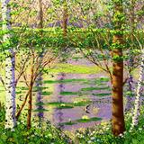 THE MILL POND- Evening light