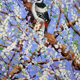 GREAT SPOTTED WOODPECKER