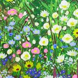 Study of meadow flowers