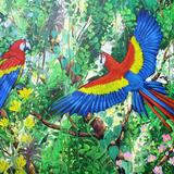 Red Macaws and Humming birds 