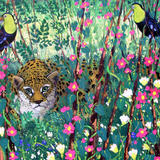 Toucans and Jaguar 