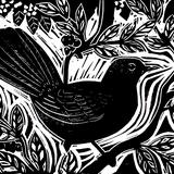 Blackbird in the Bush