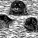 Bobbing Seals