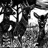 Roe Deer