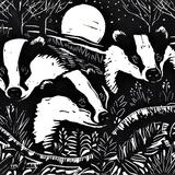 Badgers