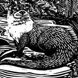 Otter