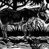 Donkey