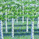 1. Spring Woods - April 19th