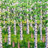 Summer Woods - September 26th