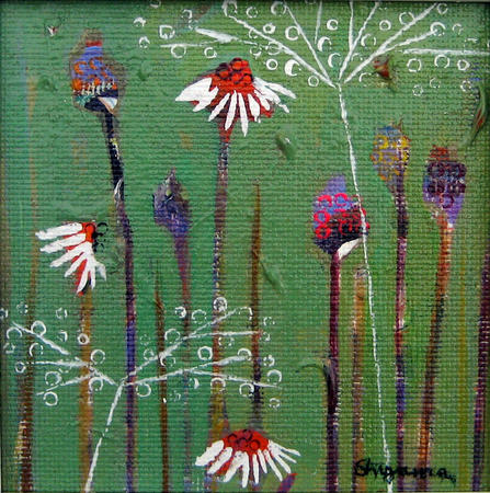 daisy-parsley-bristol