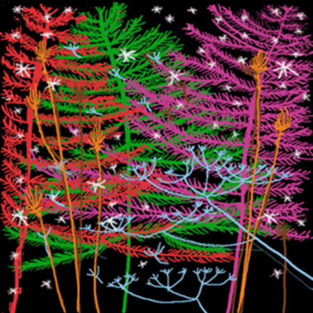 Trees and Stars 21 C