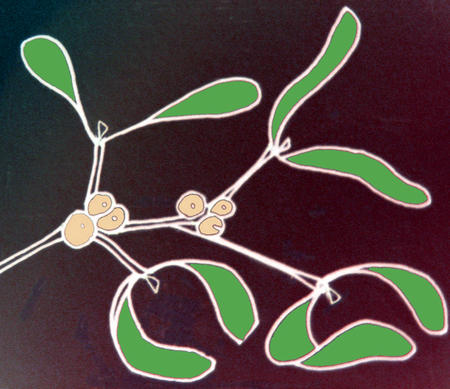 Mistletoe 31 C