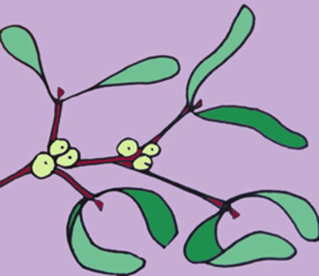 Mistletoe lilac 33 C 