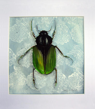 Green And Black Bug
