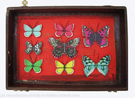 Mauris Papiliones x8 #20