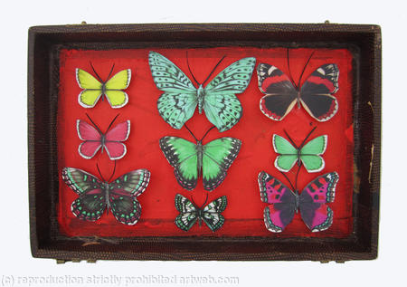 Mauris Papiliones x9 #31