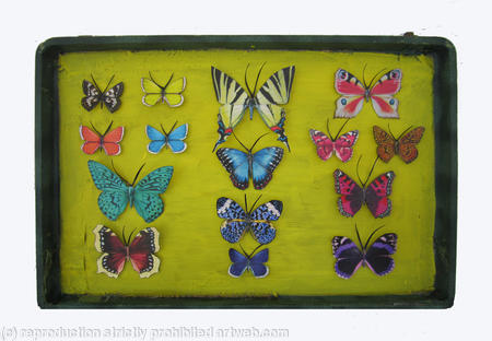 Mauris Papiliones x15 #47