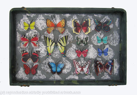 Mauris Papiliones x15 #41