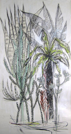 Cactus And Palm Study