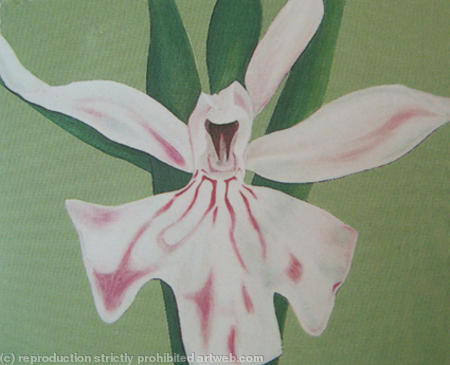 Common Spotted Orchid