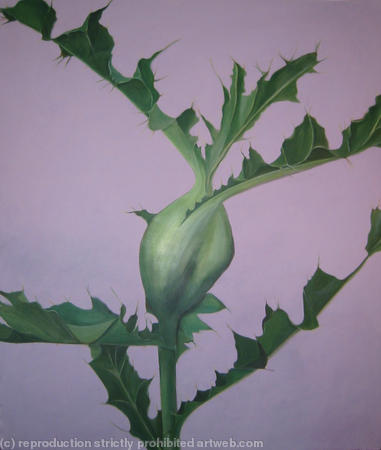 Thistle 2