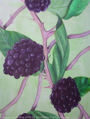 Blackberry