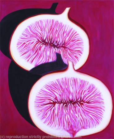 Split Fig
