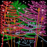 Trees and Stars 21 C