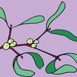 Mistletoe lilac 33 C 
