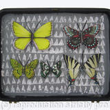 Mauris Papiliones x5 #36