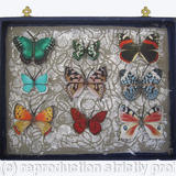 Mauris Papiliones x9 #45