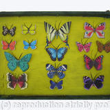 Mauris Papiliones x15 #47