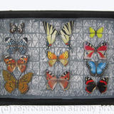 Mauris Papiliones x 11#27